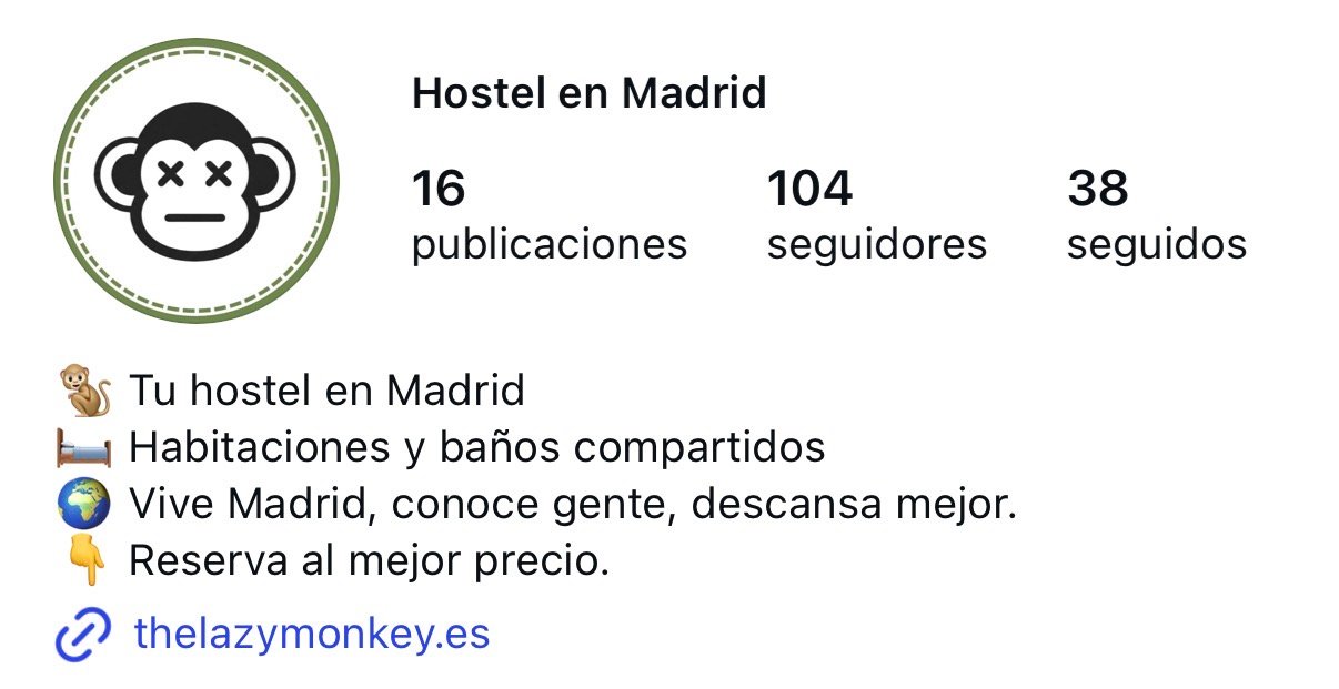 Instagram de The Lazy Monkey gestionado por Bonita Marca